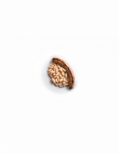 Butifarra con judías blancas